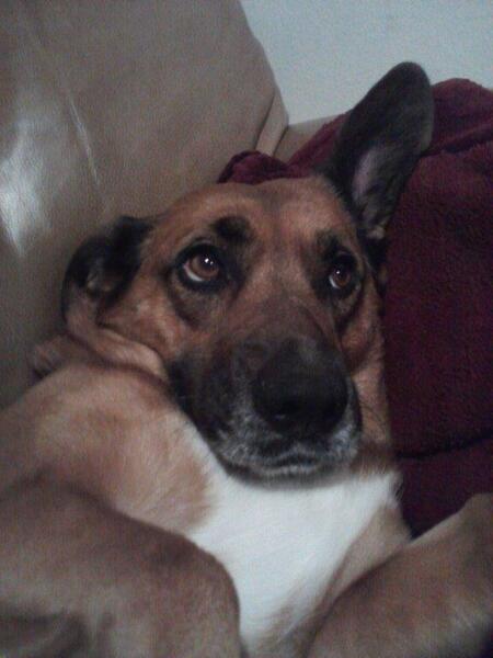 Lola
