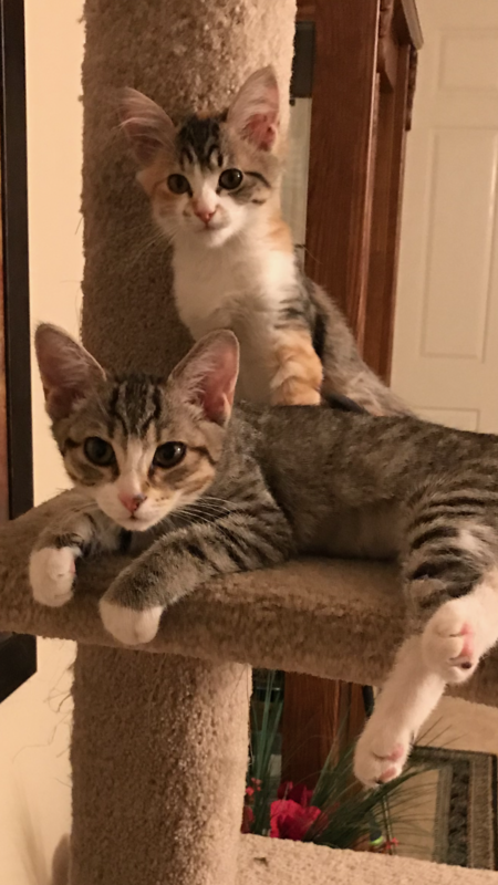Izzy and Itsy