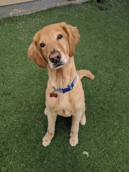 Owen