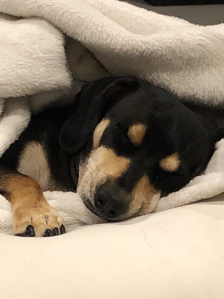 Penny