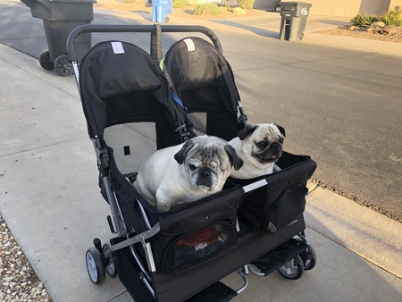Wally and Hank