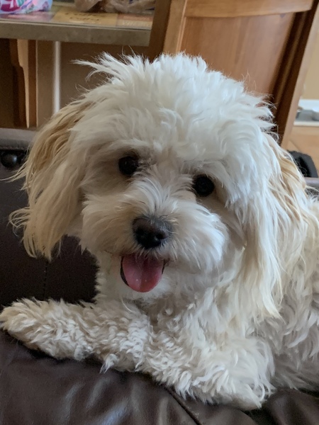 Riley