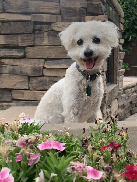 Molly