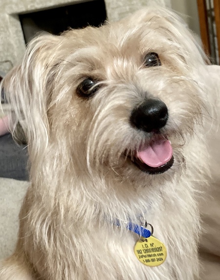 Princess Kona