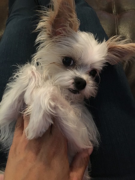 Mindy 