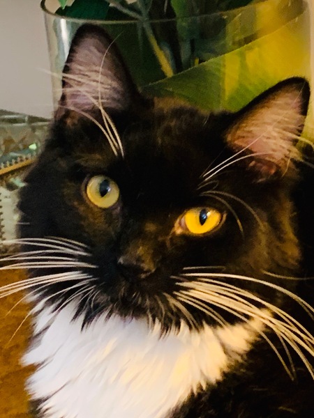 Ellie