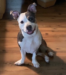 Ellie