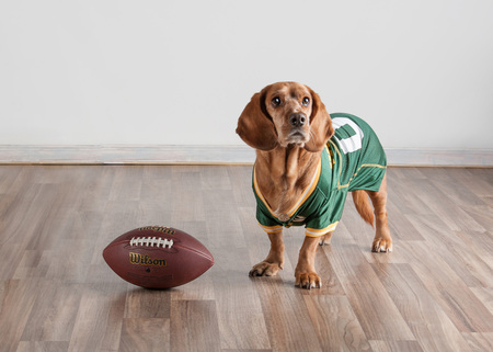 Jordy Nelson 