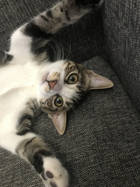 Benny