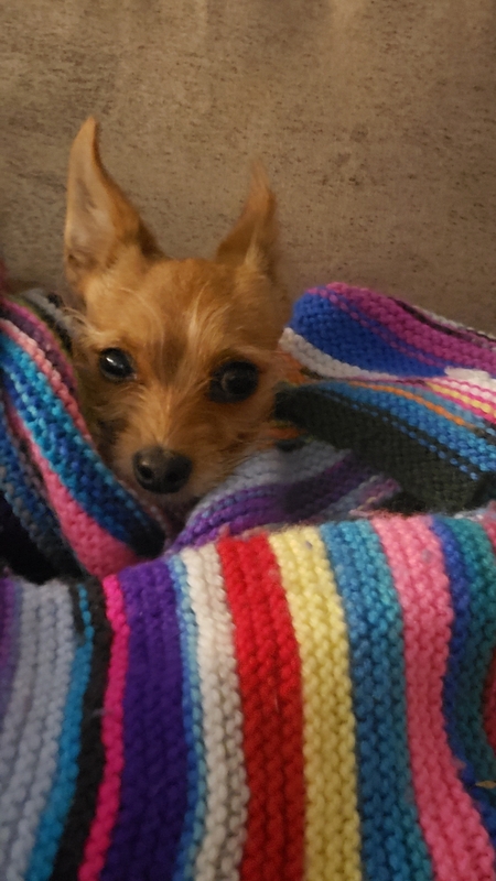 Millie 
