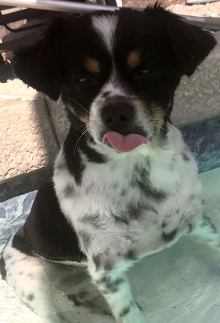 Sam