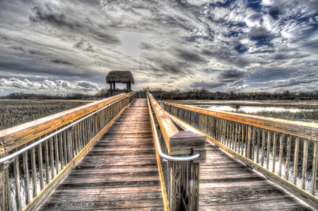 Observation Deck At Grassy Waters Preserve