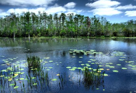 Springtime at Grassy Waters Conservancy