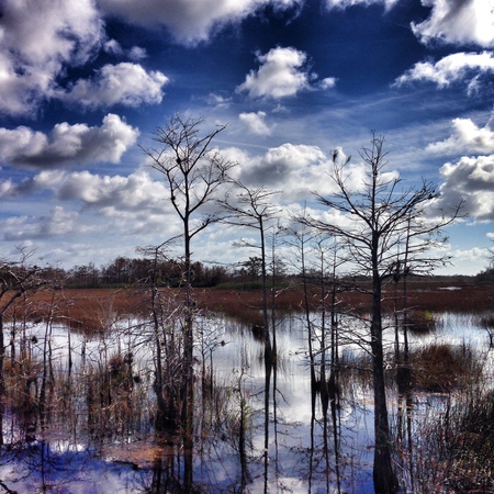 Big Sky