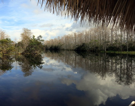 Serene Waters