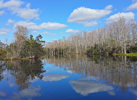 Reflections