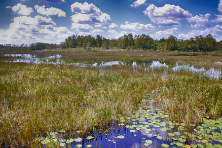  A Beautiful Day at Grassy Waters 