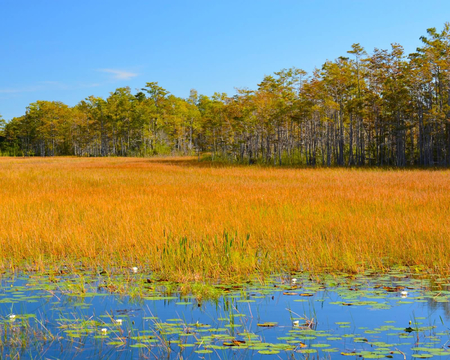 JJames  Landscape