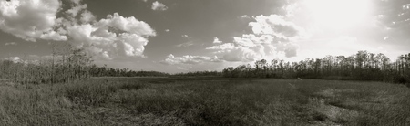 Prairie?