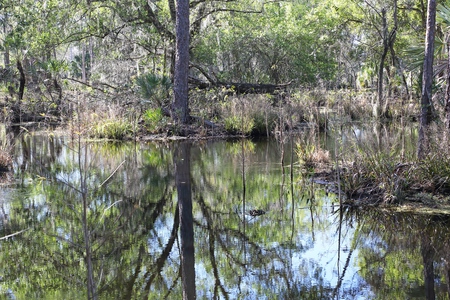 Western Preserve II