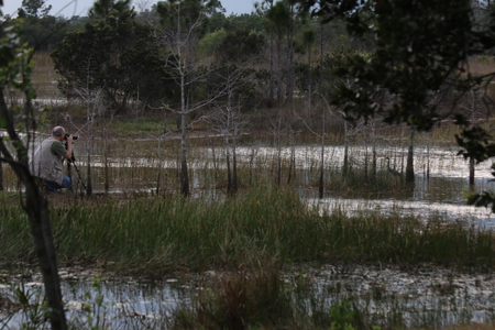 Quiet Photographer Enjoying Grassy Waters Wildlife