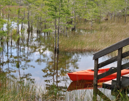 good day for a kayak trip!