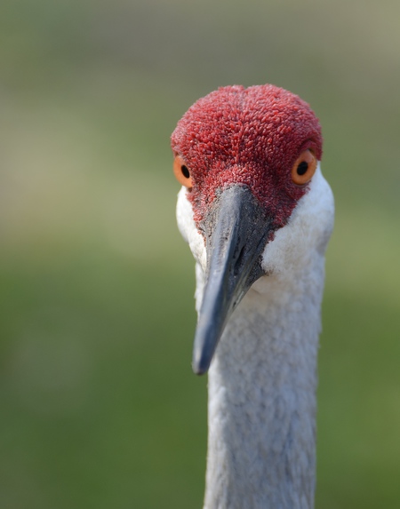 watching you!