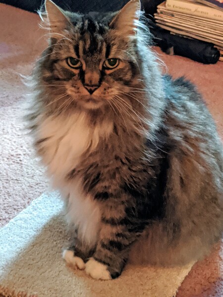 Charlie