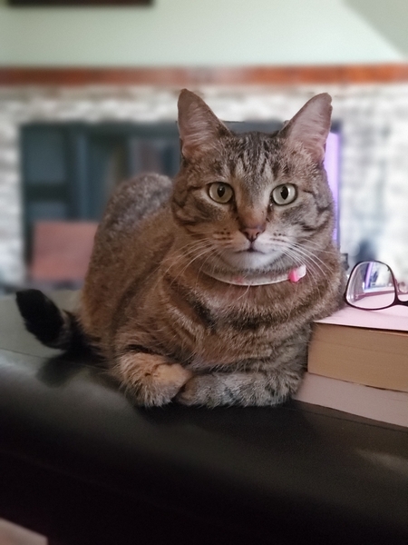 Penny