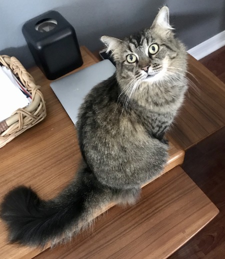 Luna