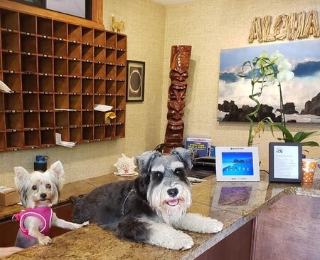 Sophie and Gus Ambassadors of Aloha