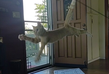 Keala