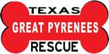 Logo for 2021 Texas Great Pyrenees Calendar Contest