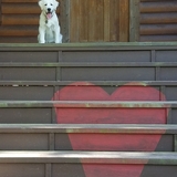 Entry image for Garland 