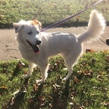 Entry image for Winnie