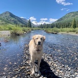 Entry image for Emma