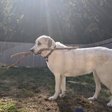 Entry image for Argos