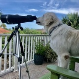 Entry image for Cooper