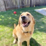 Entry image for Chunk