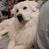 Entry image for Theo