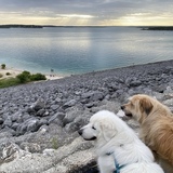 Entry image for Rocco + Tiernan