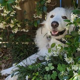 Entry image for Baker