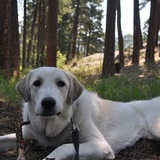 Entry image for Paxton