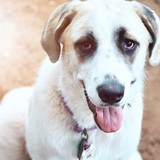 Entry image for Gwen