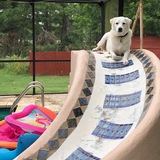 Entry image for Luna