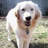 Entry image for Sierra