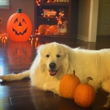 Entry image for Douglas Davis 