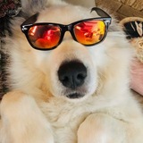 Entry image for Pearl 