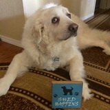 Entry image for Mattie Mae Williams