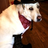 Entry image for Macky